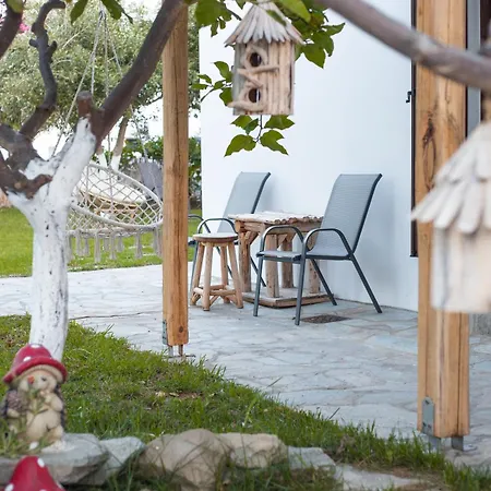 Beluga & Belugaki Casa *