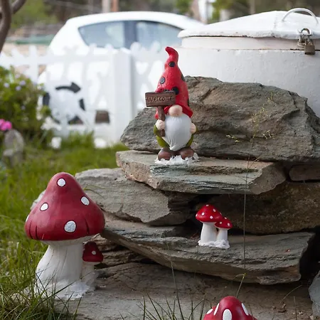 Beluga & Belugaki Casa * 巴特斯欧